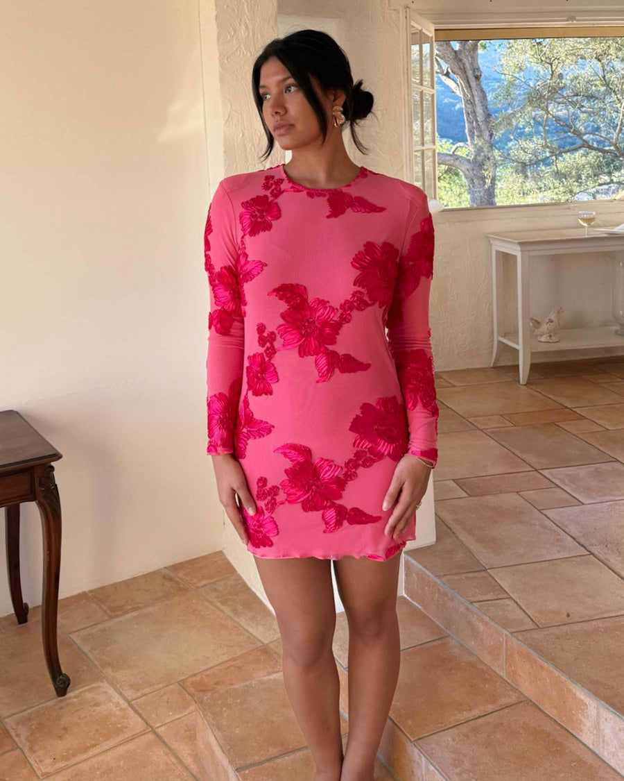 Malouic mesh dress