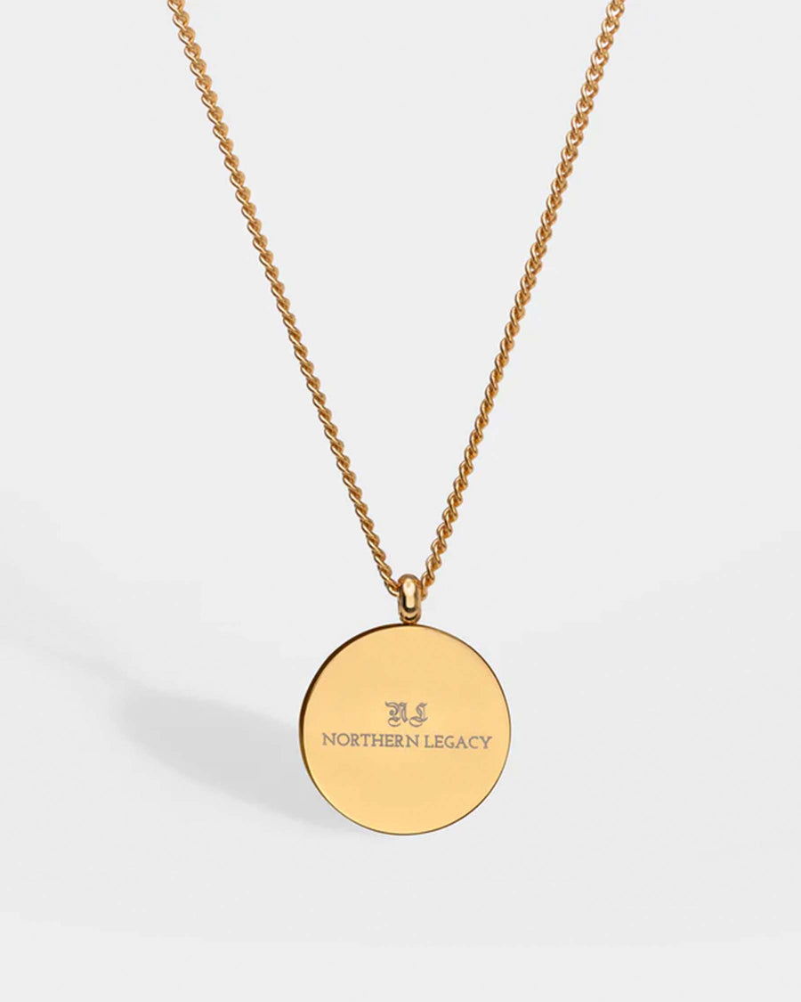 Vegvisir necklace