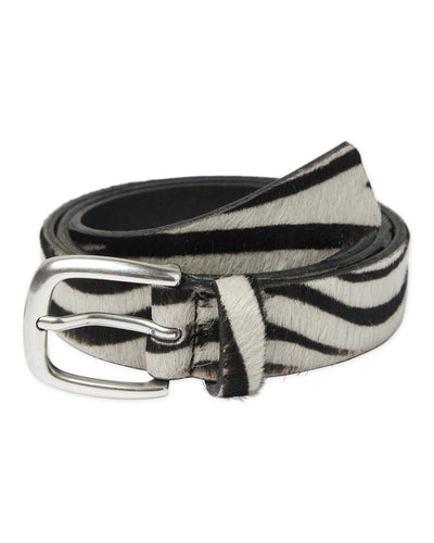 WBShifu Base BeltThumbnail 