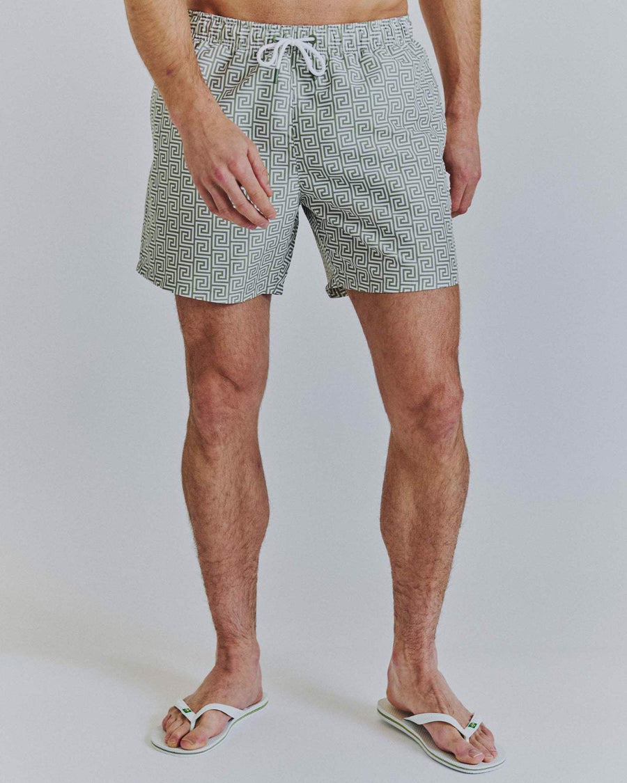 Swimshorts