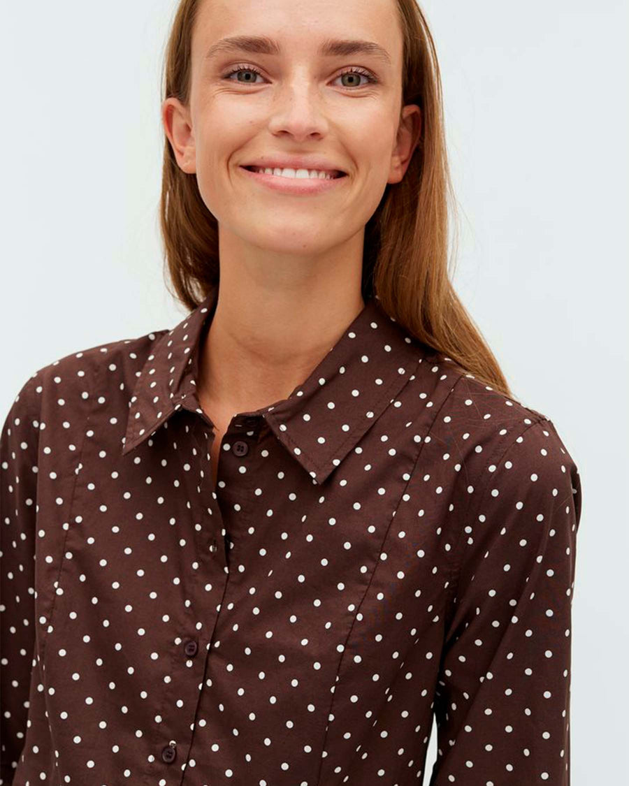 Danire