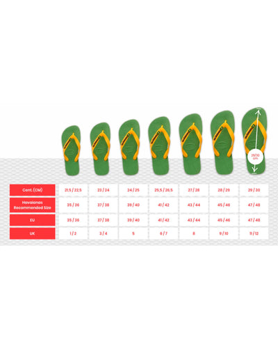 Brasil LogoThumbnail 